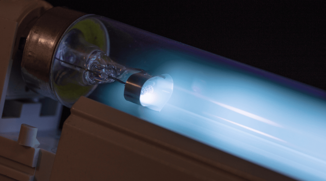 Sind UV-C-Filter effektiv gegen alle Arten von Mikroorganismen? - Osmex
