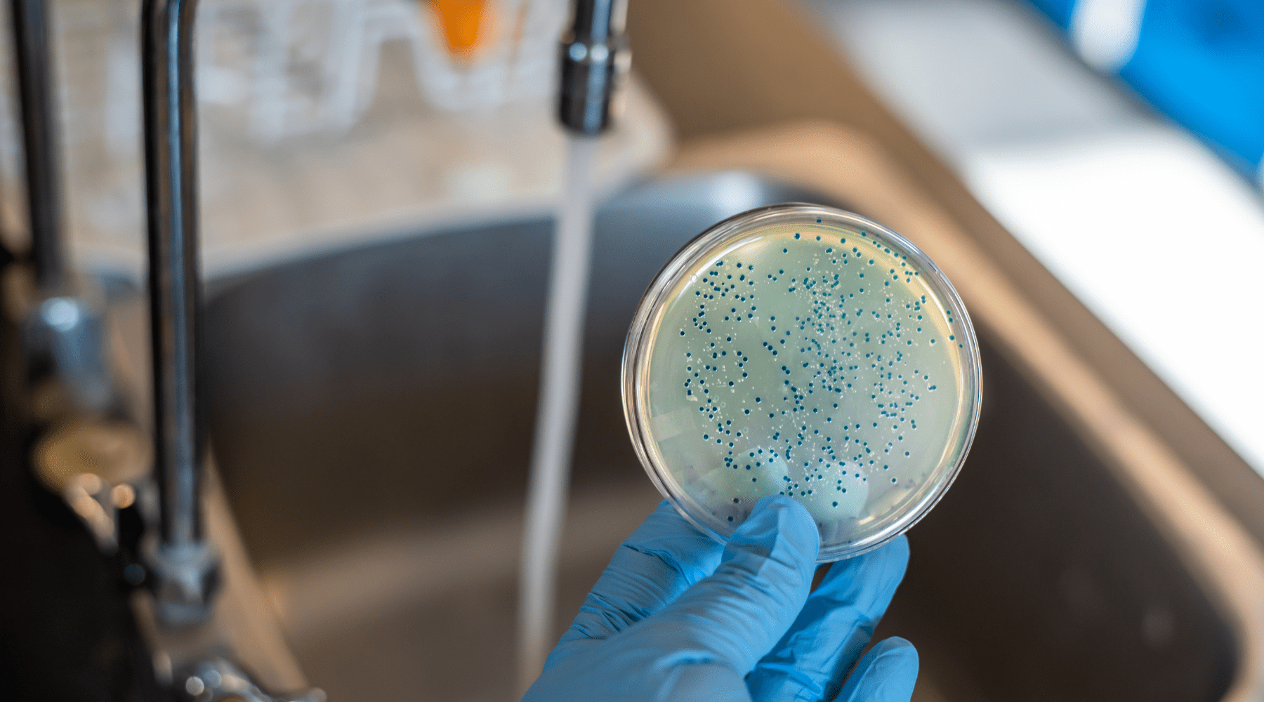 Osmose-Technologie gegen Keime | Viren | Bakterien - Osmex